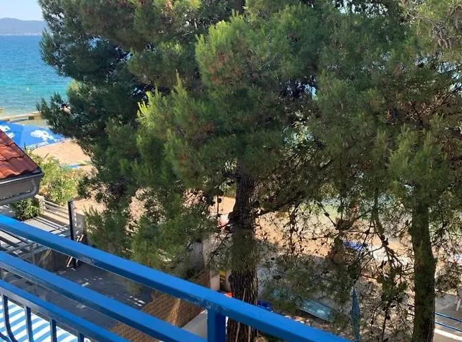 Seaside Padre * 比比涅